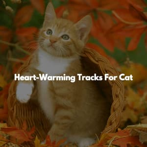 Heart-Warming Tracks For Cat - Soul Lounge Classics