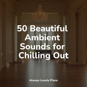 50 Soft Piano Tunes - London Piano Consort