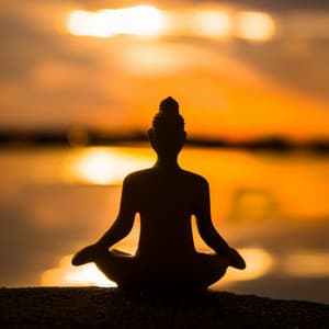 Música De Meditación: Tonos De Descanso Y Concentración - Reposo de almas