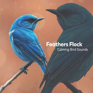 Feathers Flock - Calming Bird Sounds