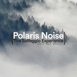 White Noise Miracles - Polaris Noise