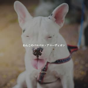 わんこのペロペロ・アコーディオン - Jazz Rilassante Primo