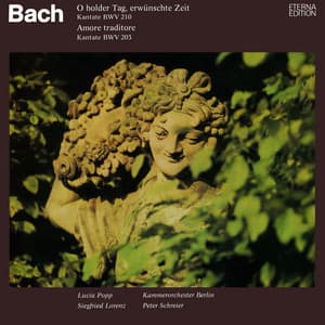 Bach: O holder Tag, erwünschte Zeit, BWV 210 / Amore traditore, BWV 203 - Johann Sebastian Bach