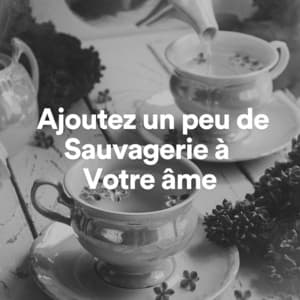 Ajoutez un peu de sauvagerie à votre âme - Oasis de Musique Nature Relaxante