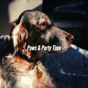 Paws & Party Time - Dog Separation Anxiety Music