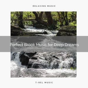 ! ! ! ! ! ! Perfect Brook Music for Deep Dreams - Rivers and Streams