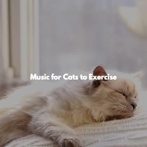 Music for Cats to Exercise - Musique de Restaurant Chic