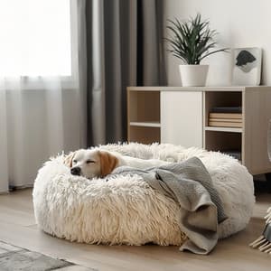 Sonidos Tranquilos Para El Descanso De Los Perros - Música para perros solo en casa