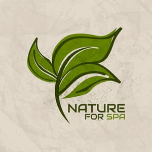 Nature for Spa: Gorgeous Music to Rest with Nature, Charming Melodies to Sleep, a Great Set for Massage and Relaxation Treatments - Relaxing Spa Music Zone