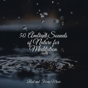 50 Ambient Sounds of Nature for Meditation - Deep Focus