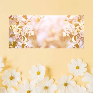 Echoes of Sunday Evening Cafe - Smooth Jazz Chill Out Playlist