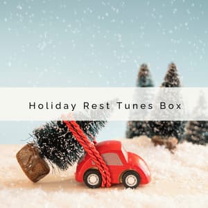 2 0 2 2 Holiday Rest Tunes Box - Silent Night Sounds