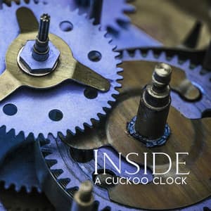 Inside A Cuckoo Clock - Tik Tok A Clock