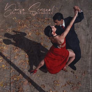 Dança Sensual Latina Relaxante Hora: O Melhor do Lounge, Latino Chillout, Emoções Bolero - Academia de Música Romântica