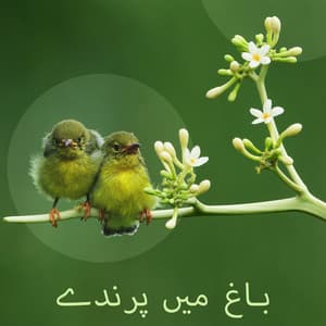 باغ میں پرندے - قدرتی مناظر