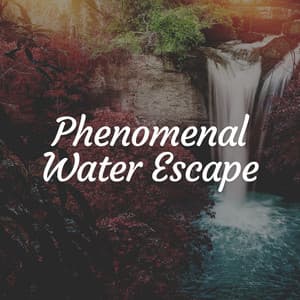 Phenomenal Water Escape - Water Effects Center