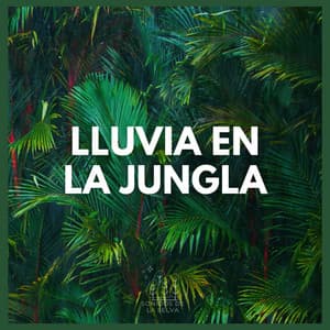 Lluvia en la Jungla - Sonidos De La Selva