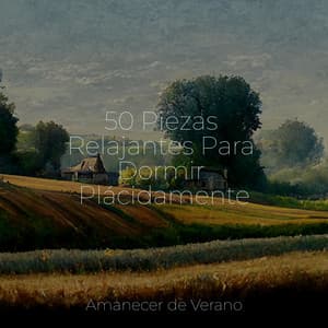 50 Piezas Relajantes Para Dormir Plácidamente - Massage Therapy Music