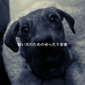 眠い犬のためのゆったり音楽 - Cafe BGM Japan