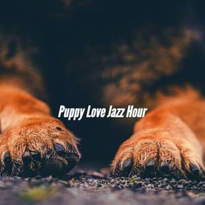 Puppy Love Jazz Hour - Relaxing Dog Music Playlists