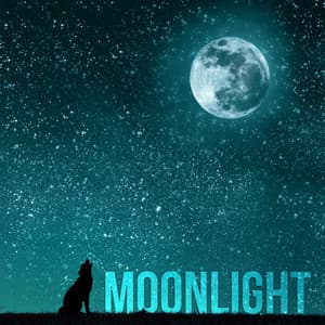 Moonlight - Best Healing Sleep Songs, Deep Sleep & Meditation for Adult and Baby - Better Sleep Oasis