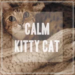 Relaxing Music for Cats - Pet Music