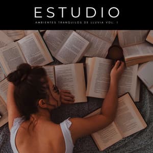 Estudio: Ambientes Tranquilos De Lluvia Vol. 1 - Estudiar Las Ondas Alfa