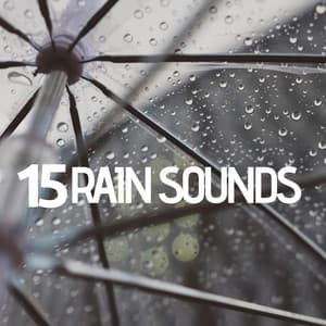 15 Rain Sounds - Asian Meditation Music Collective
