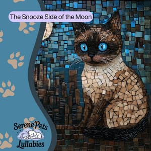 The Snooze Side of the Moon - Serene Pets Lullabies