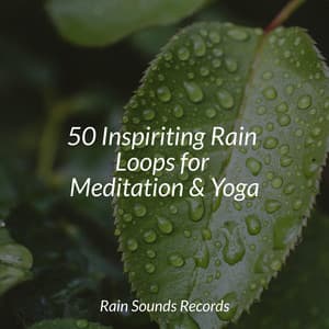 50 Inspiriting Rain Loops for Meditation & Yoga - Sleepy Night Music
