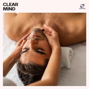 Clear Mind: Spa Background Ambience - Spa Music Relaxation Meditation
