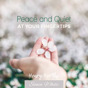 Peace and Quiet at Your Fingertips - Henry Northe