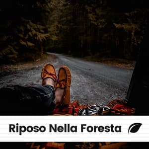 Riposo Nella Foresta - Suoni Naturali