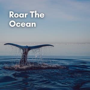 Roar the Ocean - Ocean in HD