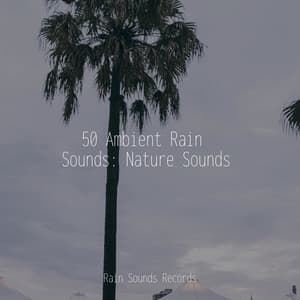 50 Ambient Rain Sounds: Nature Sounds - Chillout Lounge