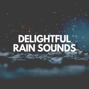 Delightful Rain Sounds - Rain Sounds HD
