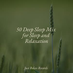 50 Deep Sleep Mix for Sleep and Relaxation - Sleep Music Lullabies