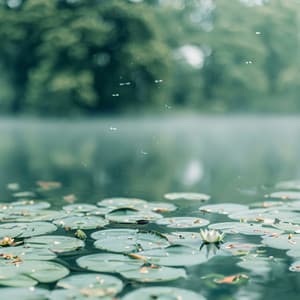 Where Rain Meets Zen: Serenity in the Storm at the Ancient Temple - Garden of Zen Music