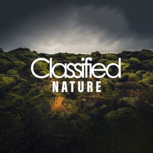 Classified Nature - Rain Sounds & Nature Sounds