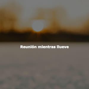 Reunión mientras llueve - Música para Tiendas Musica De Fondo