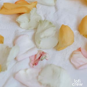 Mild LoFi For Focus - Study Calm Sounds