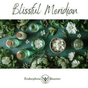 Blissful Meridian - Endorphine Booster