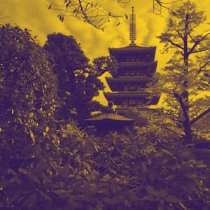 Fun Nights - The Cocktail Lounge Players