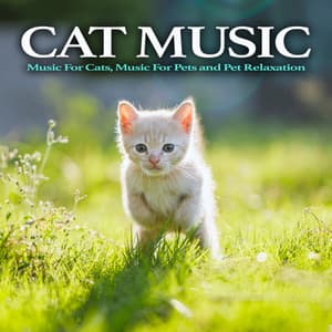 Cat Music: Music For Cats, Music For Pets and Pet Relaxation - Cat Music Dreams