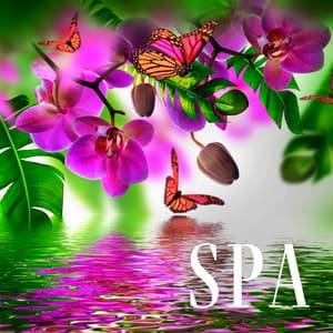 Spa: Musique instrumentale relaxante pour le massage, La méditation, Le sommeil - Espace détente