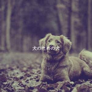 犬のための犬 - Ambient Jazz Lounge