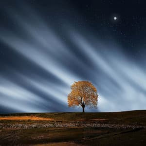Spa Music Collection - Musica Para Dormir y Sonidos de la Naturaleza