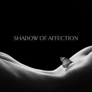 Shadow of Affection - Kenny Bern