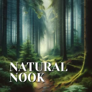 Natural Nook - Nature Sounds Artists