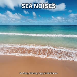 #1 Sea Noises for Sleep, Relaxing, Yoga, to Wind Down - Ocean Sounds Collection